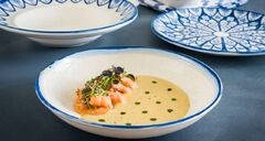 ������ ����� Esnaf 27�� S-ESNETHGRM27DZ