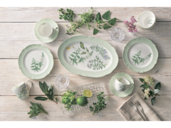 ��������� � ������� English Herbs 360�� 4942l/97827