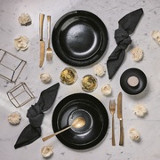 ������� ��������� Diana 25�� V0121