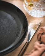 ������ �������� Diana 19�� V0124