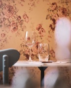 ���� ������� ��� ���� Vina 580�� L3605/1