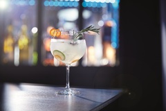 ���� ������� ��� �������� Vina Gim&Tonic 700�� N2760/1