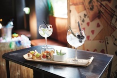 ���� ������� ��� �������� Vina Gim&Tonic 700�� N2760/1