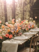 ����� ������� ��� ����������� Swirly Spring 240�� V9137