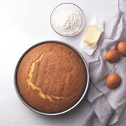 ����� ��� ������� Brasil ������ 24�� 20057/024