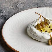 ������� ��������� Grace 25�� GRE-ZT-23-DZ