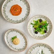 ������� ��������� Oliva 25�� OLV-ZT-25-DZ