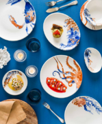 ����� �������� Aquelis 2 Moove 25�� F-AER2MOV25OV