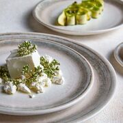 ������� ��������� Ephyra 25�� EPH-ZT-25-DZ