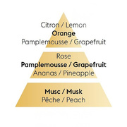 ����� ����� Diffusers Aroma Energy 180�� 7717