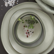 ������ Organica -green 480�� R2656#ORGR