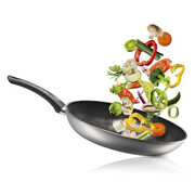 ��������� Fireworks 22�� FUTP2240GR01