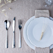 ���� �������� ������� Torino 6/24 �041024