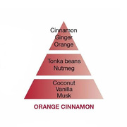 ������ ��� �������� Aromas Orange Cinnamon 200�� 6032