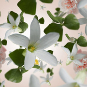 ������ ��� �������� Aromas Precious Jasmine 200�� 6035