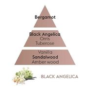 ������ ��� ��������� Aromas Black Angelika 200�� 6824