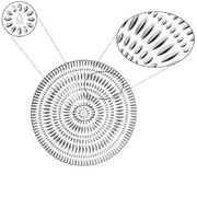 ���� ������ �������� Ethno 23�� 106160