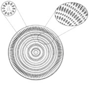 ���� ������ ������ Ethno 28�� 106618