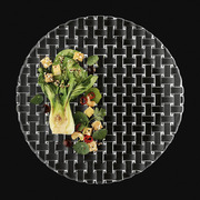 ���� ������ ������ Bossa Nova 28�� 106617