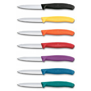 ��� ��� ������ ������ Swiss Classic Orange Paring 8�� Vx67609.C1