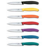 ͳ� ��� ������ ������ Swiss Classic Blue Paring 10�� Vx67702.C1