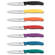 ͳ� ��� ������ Swiss Classic Purple Paring 10�� Vx67735.C1