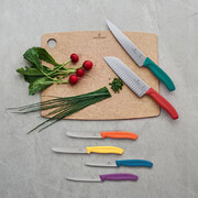 ���� ���� ��� ������ Swiss Classic Black Tomato&Table 11�� Vx67833.2