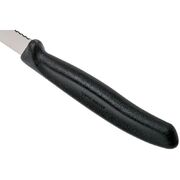 ���� ���� ��� ������ Swiss Classic Black Tomato&Table 11�� Vx67833.6