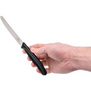 ���� ���� ��� ������ Swiss Classic Black Tomato&Table 11�� Vx67833.6