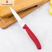 ͳ� ��� ������ Swiss Classic Red Paring 10�� Vx67731