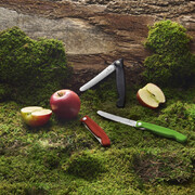 ͳ� ��������� Swiss Classic Blue Picnic 11�� Vx67832.FC1