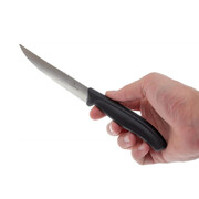 ͳ� ��� ������ Swiss Classic Black Steak&Pizza 12�� Vx67933