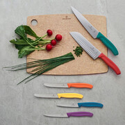 ���� ���� ��� ������ Swiss Classic Black Steak&Pizza 11�� Vx67233.6