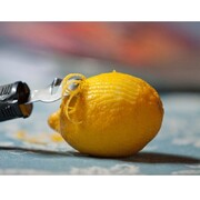 ͳ� ��� ����� Standard Black Lemon Zester 14�� Vx53503