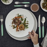 ��� ��� ������� Swiss Modern Green Steak&Pizza 12�� Vx69006.12W41