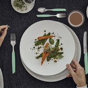 ������� �������� Swiss Modern Green 15,5�� Vx69036.0641