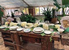 ���� ������ ��������� Flora 19�� 51181