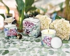 ����� � ��������� � ������� Flora 9�8,5�� 51179