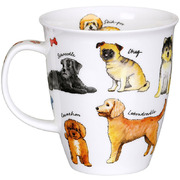 ������ Nevis Designer Dogs 480��