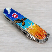 ��������� 14�1 Climber Ukraine ³����� ���� 9,1�� Vx13703.7_T3230pw