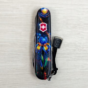 ��������� 14�1 Climber Design ������ ����� 9,1�� Vx13703.3_R2070pk