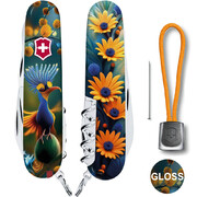 ��������� 14�1 Climber Design ������� ������ 9,1�� Vx13703.3_R2110pk