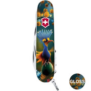 ��������� 14�1 Climber Design ������� ������ 9,1�� Vx13703.3_R2110pk