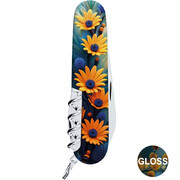 ��������� 14�1 Climber Design ������� ������ 9,1�� Vx13703.3_R2110pk
