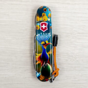 ��������� 14�1 Climber Design ������� ������ 9,1�� Vx13703.3_R2110pk
