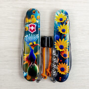 ��������� 14�1 Climber Design ������� ������ 9,1�� Vx13703.3_R2110pk
