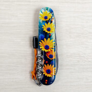 ��������� 14�1 Climber Design ������� ������ 9,1�� Vx13703.3_R2110pk