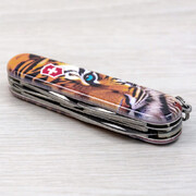 ��������� 14�1 Climber Animal ���� 9,1�� Vx13703_F1030pw