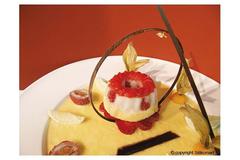 ����� ��� ������ SiliconFlex 7,5�� SF209