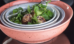 �������� Life style ���� TERRACOTTA 1220��